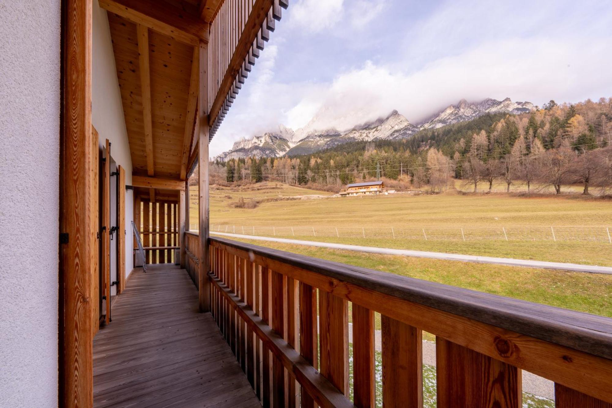 Greenwood Chalet - Spacious Alpine Retreat With Mountain Views Vodo Cadore Exterior photo